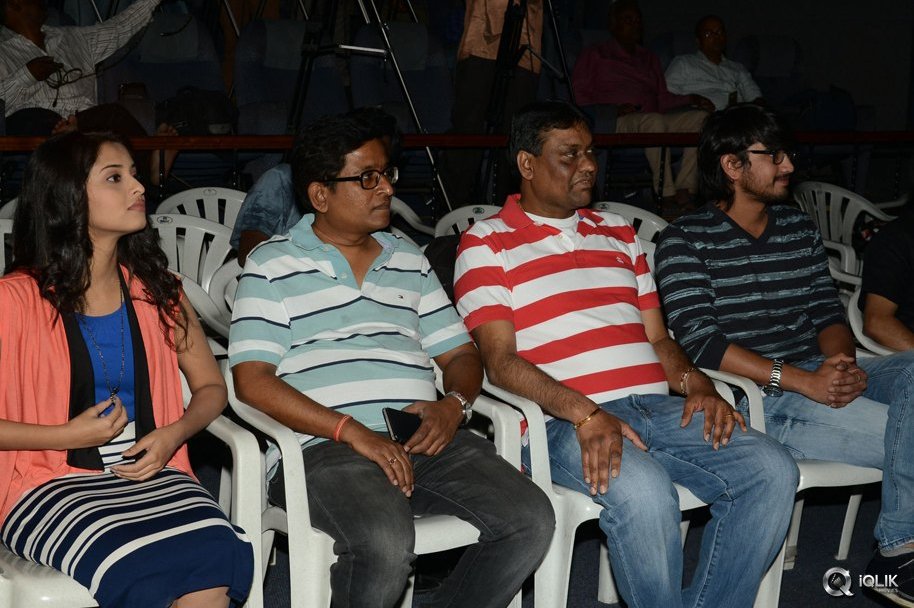 Seethamma-Andaalu-Raamayya-Sithraalu-Movie-Success-Meet